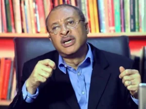 Tinubu And I Flew First Class To London; Peter Obi Flew On Same Plane With Us But Sat In Economy –Prof Utomi Reveals