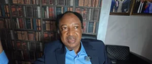 You Hardly See A Hausa Man Insulting Tafawa Balewa But You See A Young Boy Insulting Azikiwe -Shehu Sani