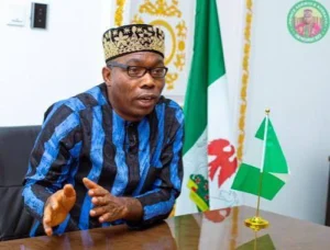 Retired Generals Are Building Hotels And Sending Their Wives to Dubai For Birthday Parties –Adebayo Says
