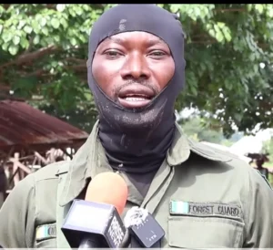 Bandits: What They Carry Supercedes Ours; There’s No Type Of Guns They Don’t Have, We Need Amor -Adebayo Reveals
