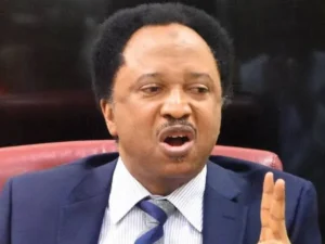 People Don’t Know President Yar’Adua Has Elder Brother Who Was Godfather To Tinubu And Atiku -Shehu Sani Reveals