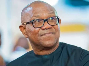 JUST IN: Every Time We Speak About Peter Obi, We Always Tell People Go And Verify –Emmanuel Idakwo