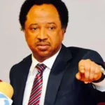 Shehu Sani Tells Lawyers To Educate Public After Hotel Guest's Death