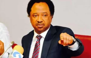Shehu Sani Blows Hot: They Want Gov’t Jobs But They Don’t Want Gov’t Schools, It Doesn’t Work That Way