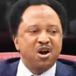 Shehu Sani Defends Power Rotation, Says Tinubu Never Challenged Buhari’s Presidency Despite 2015–202...