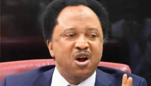 Shehu Sani Defends Power Rotation, Says Tinubu Never Challenged Buhari’s Presidency Despite 2015–2023 Struggles