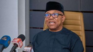 President Tinubu Has Never Slept In Anambra, Enugu Or Bayelsa, Obasanjo Did When I Was Governor –Peter Obi