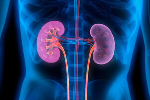 5 Warning Signs Your Kidneys May Be In Trouble And When To See A Doctor