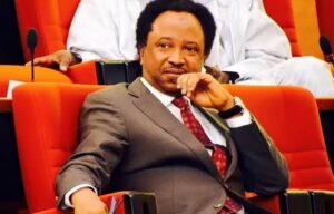 96 Died, 9 Survived – Shehu Sani Remembers ADC Flight 53 Crash That Killed Sultan Maccido