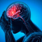 5 Foods You Should Stop Eating in Excess If You Want To Protect Your Brain