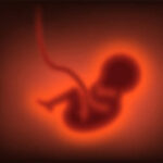 5 Amazing Things Unborn Babies Do While They Are Still In The Womb