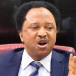 JUST IN: Shehu Sani Identifies Three Common Factors In Assassinations Of Northern Clerics 