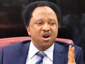JUST IN: Shehu Sani Identifies Three Common Factors In Assassinations Of Northern Clerics 