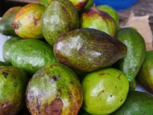5 Fruits That May Support Fertility In Men And Women